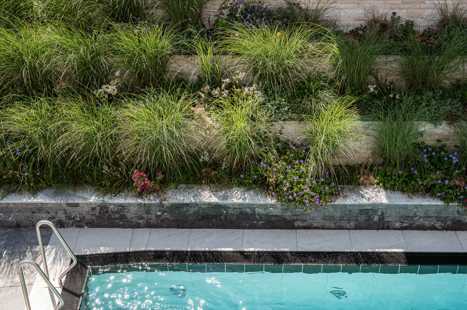 20250819Fresner©LorenzMasser0003