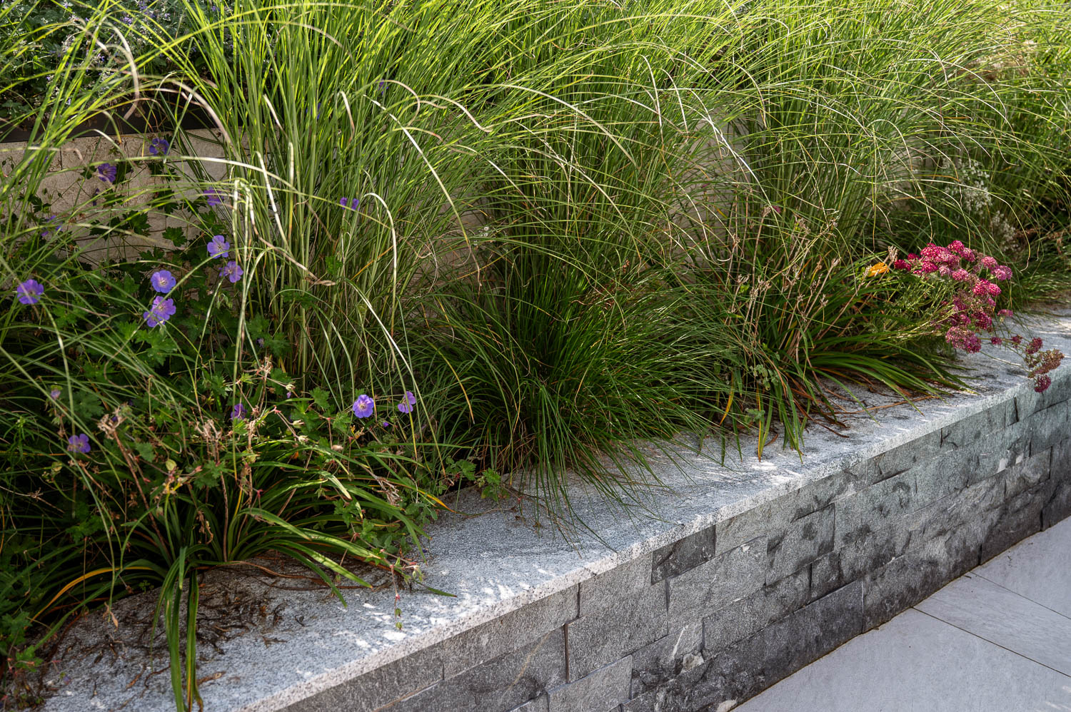 20250819Fresner©LorenzMasser0017