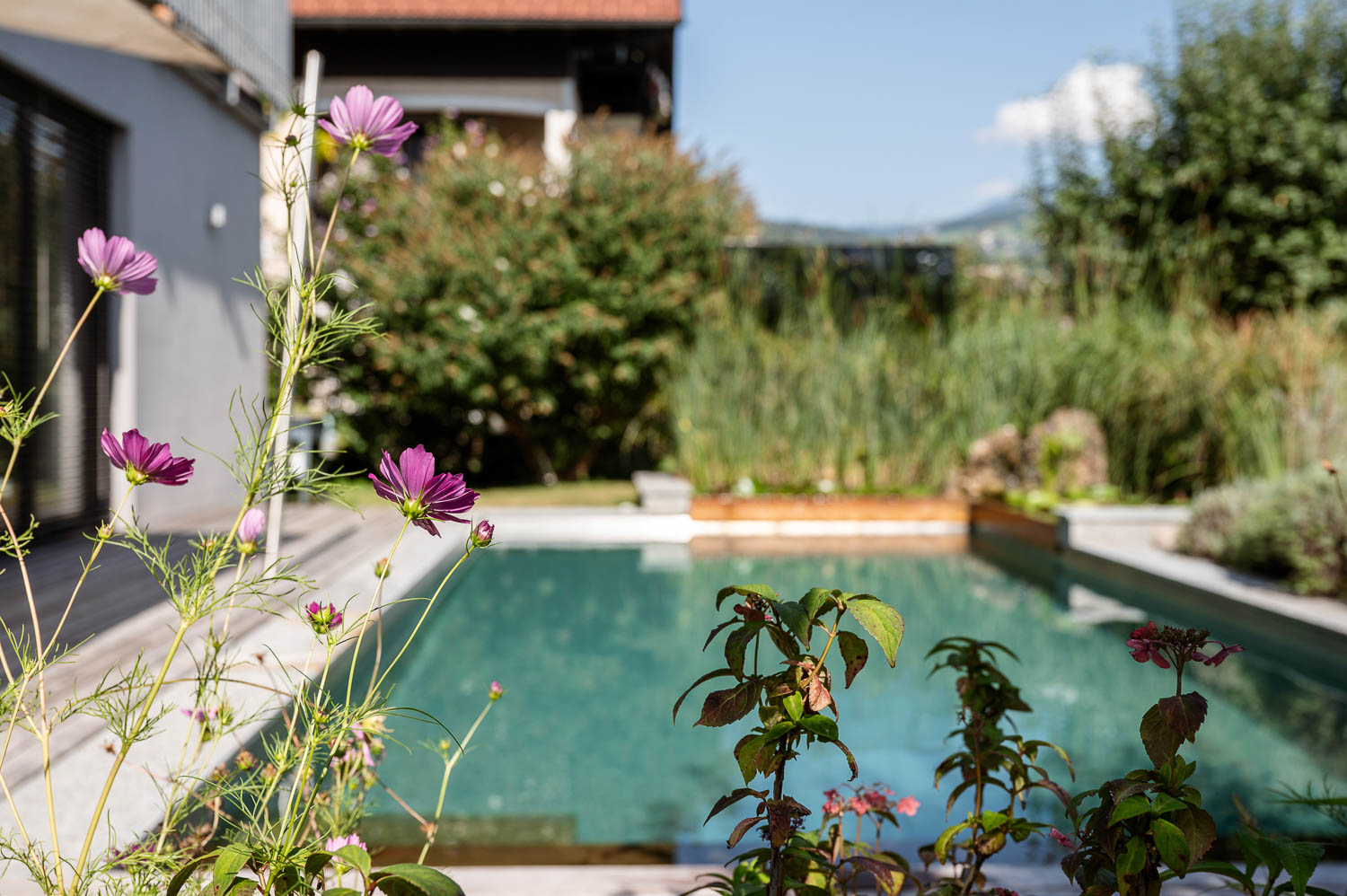 20250819Fresner©LorenzMasser0049