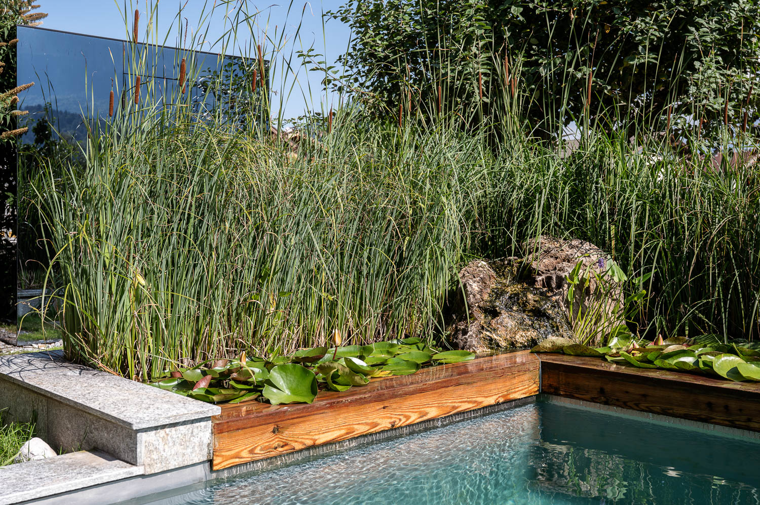 20250819Fresner©LorenzMasser0059