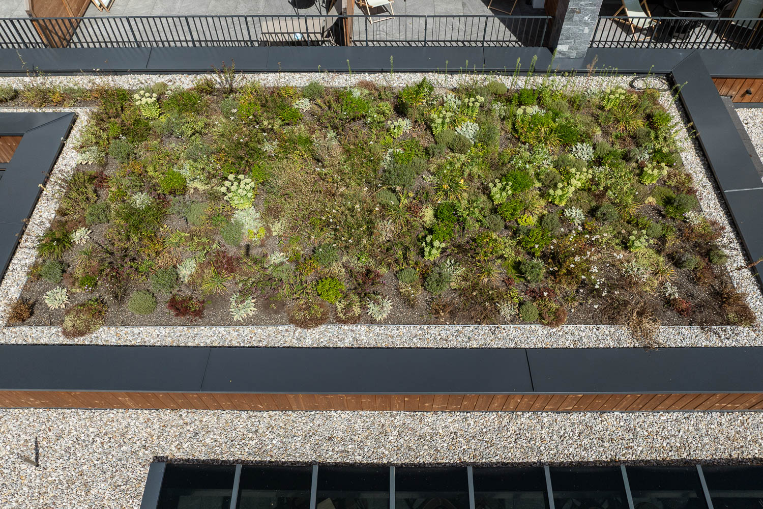 20250819Fresner©LorenzMasser0209